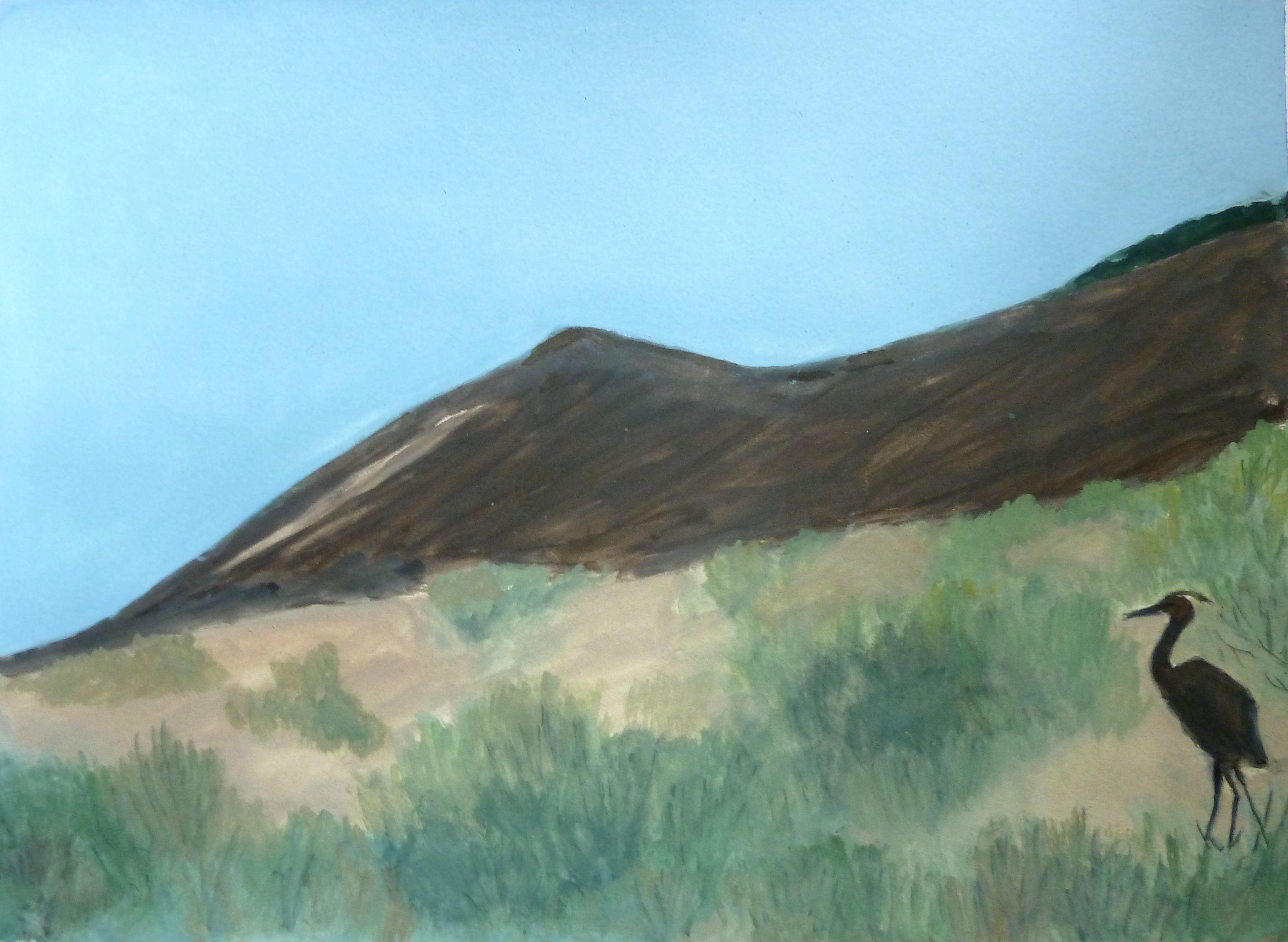 Heron in the desert, HW26